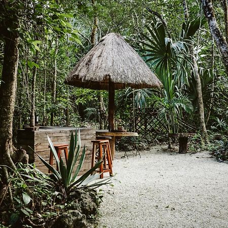 Madre Tierra Eco Habitat Guest House Puerto Morelos Exterior photo