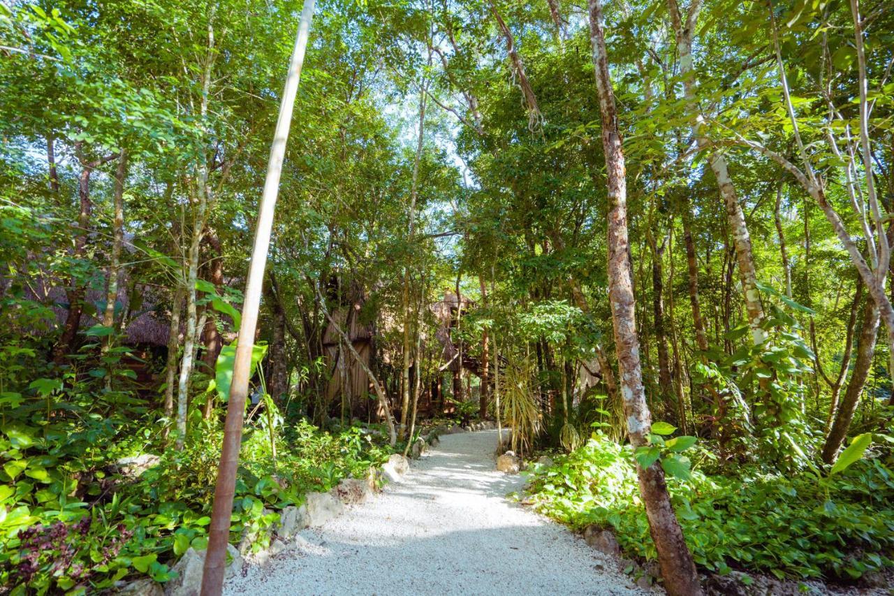 Madre Tierra Eco Habitat Guest House Puerto Morelos Exterior photo