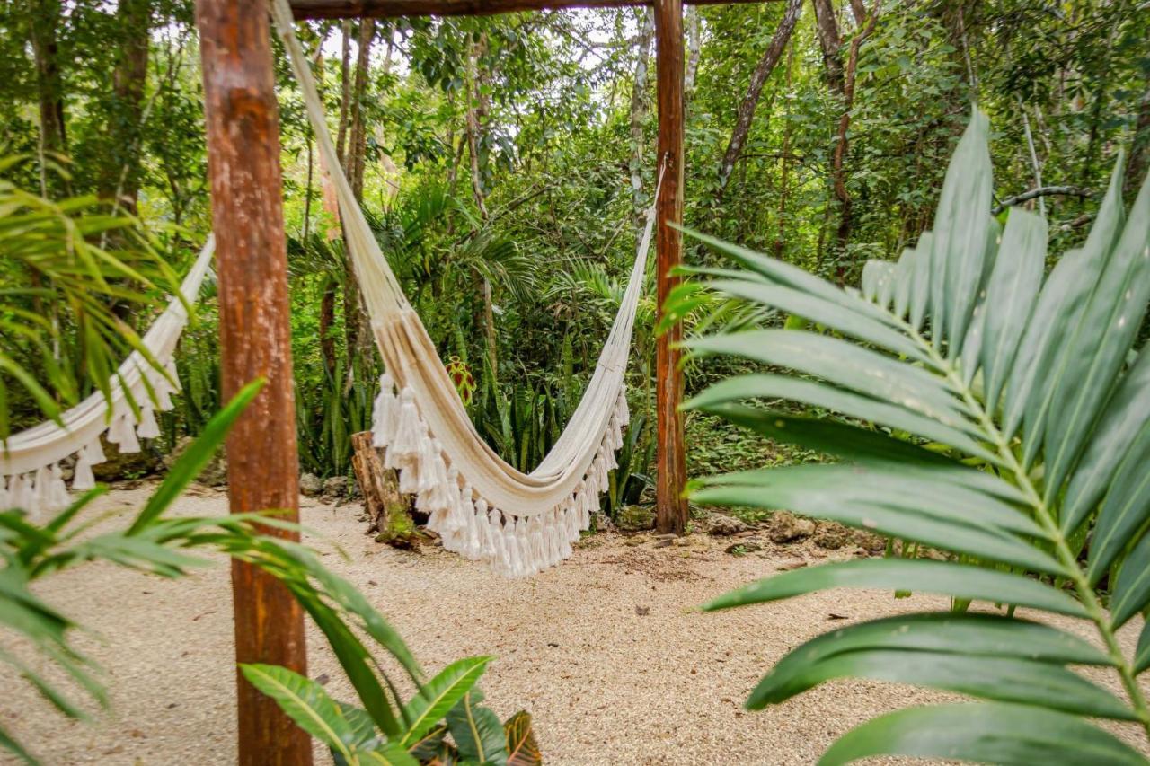 Madre Tierra Eco Habitat Guest House Puerto Morelos Exterior photo