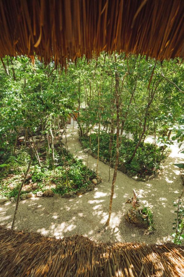 Madre Tierra Eco Habitat Guest House Puerto Morelos Exterior photo